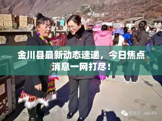 金川县最新动态速递,今日焦点消息一网打尽!