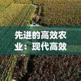 先进的高效农业：现代高效农业 