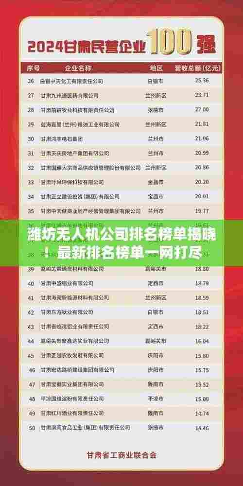 潍坊无人机公司排名榜单揭晓!最新排名榜单一网打尽