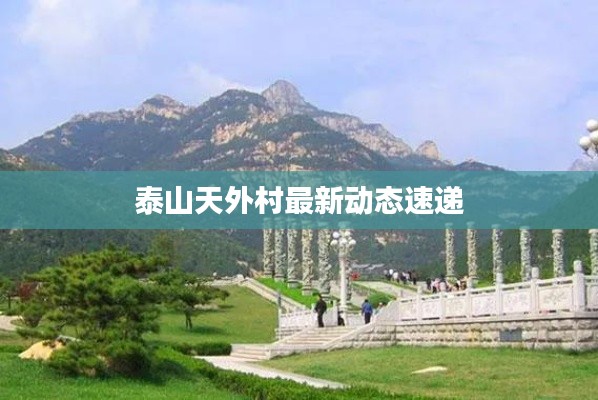 泰山天外村最新动态速递