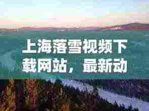 上海落雪视频下载网站，最新动态抢鲜看，优质资源深度解析
