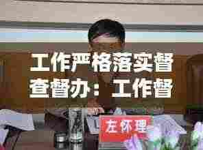 工作严格落实督查督办:工作督查要求讲话