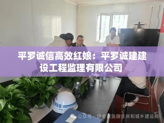 平罗诚信高效红娘：平罗诚建建设工程监理有限公司 