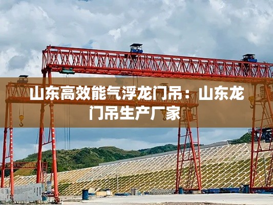 山东高效能气浮龙门吊:山东龙门吊生产厂家