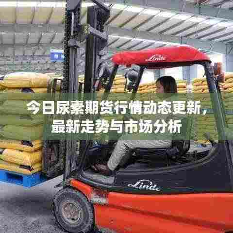 今日尿素期货行情动态更新,最新走势与市场分析