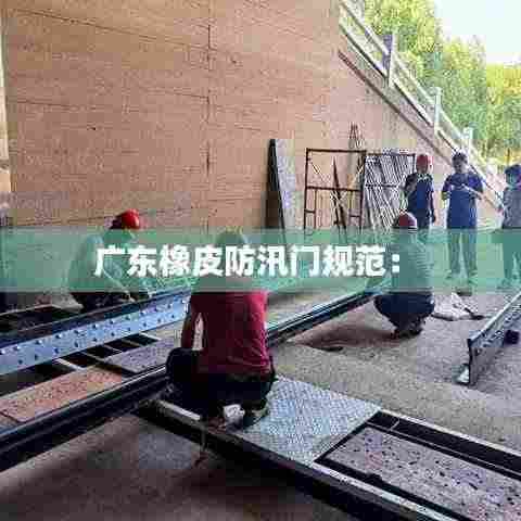 广东橡皮防汛门规范： 