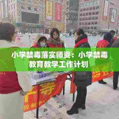 小学禁毒落实师资：小学禁毒教育教学工作计划 