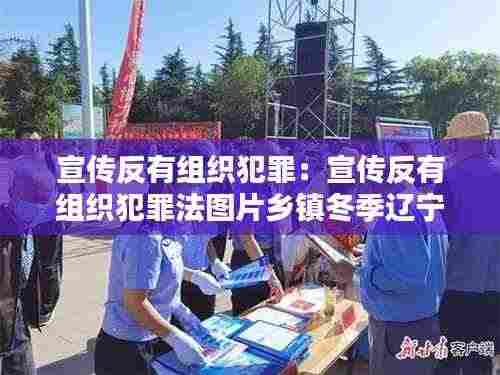 宣传反有组织犯罪：宣传反有组织犯罪法图片乡镇冬季辽宁省朝阳市 
