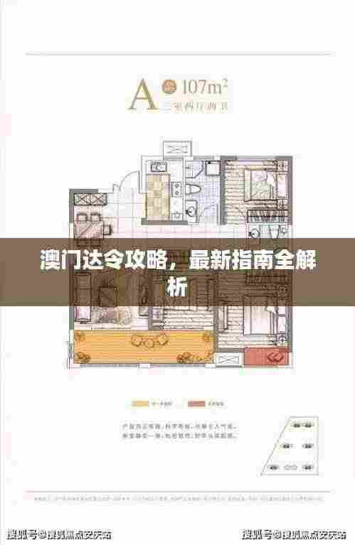 澳门达令攻略，最新指南全解析