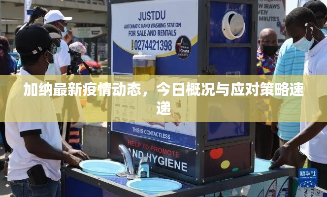 加纳最新疫情动态，今日概况与应对策略速递