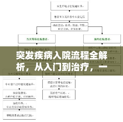 突发疾病入院流程全解析，从入门到治疗，一篇文章搞定！