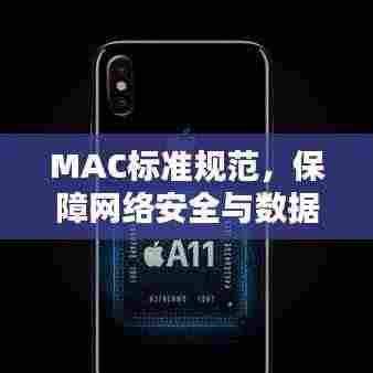 MAC标准规范,保障网络安全与数据完整性的核心要素