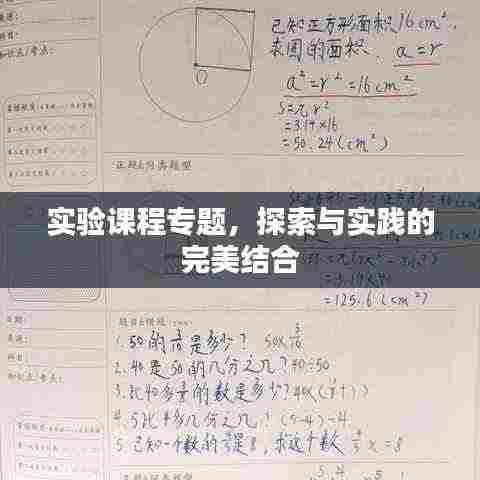 实验课程专题,探索与实践的完美结合