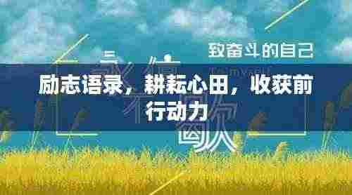 励志语录,耕耘心田,收获前行动力