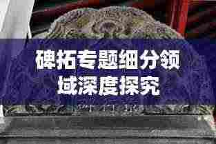 碑拓专题细分领域深度探究