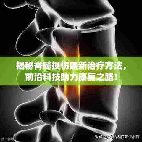 揭秘脊髓损伤最新治疗方法，前沿科技助力康复之路！