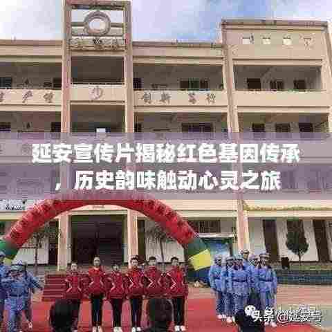 延安宣传片揭秘红色基因传承,历史韵味触动心灵之旅