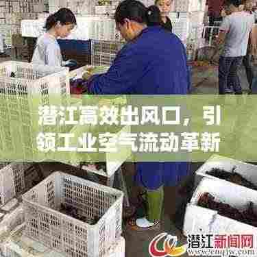 尊道贵德 第3页