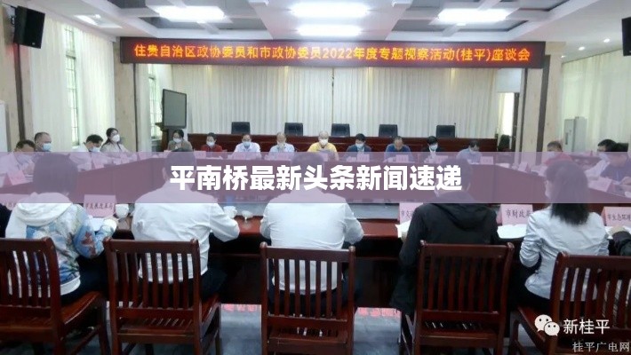 平南桥最新头条新闻速递