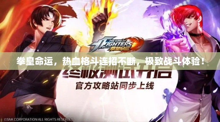 拳皇命运，热血格斗连招不断，极致战斗体验！