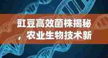 豇豆高效菌株揭秘,农业生物技术新里程碑来临!