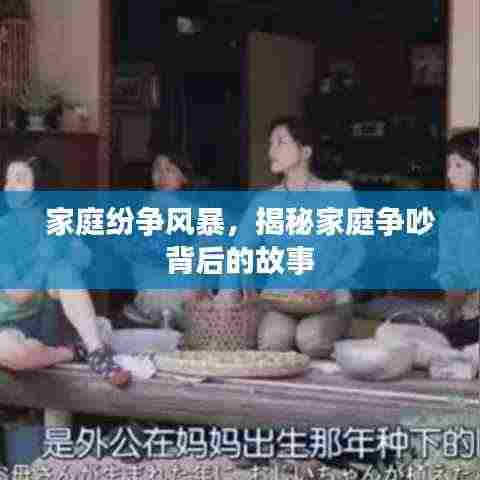 家庭纷争风暴，揭秘家庭争吵背后的故事