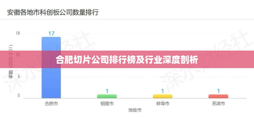 合肥切片公司排行榜及行业深度剖析