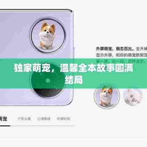 独家萌宠,温馨全本故事圆满结局