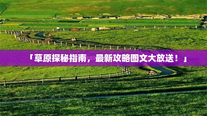 「草原探秘指南,最新攻略图文大放送!」