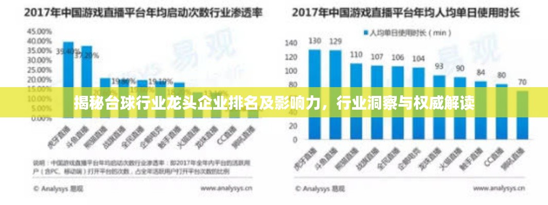 揭秘台球行业龙头企业排名及影响力，行业洞察与权威解读