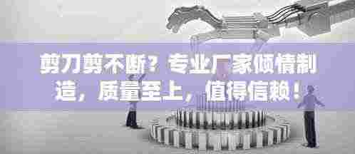 剪刀剪不断?专业厂家倾情制造,质量至上,值得信赖!