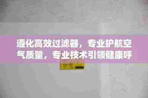 遵化高效过滤器,专业护航空气质量,专业技术引领健康呼吸