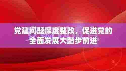 党建问题深度整改,促进党的全面发展大踏步前进