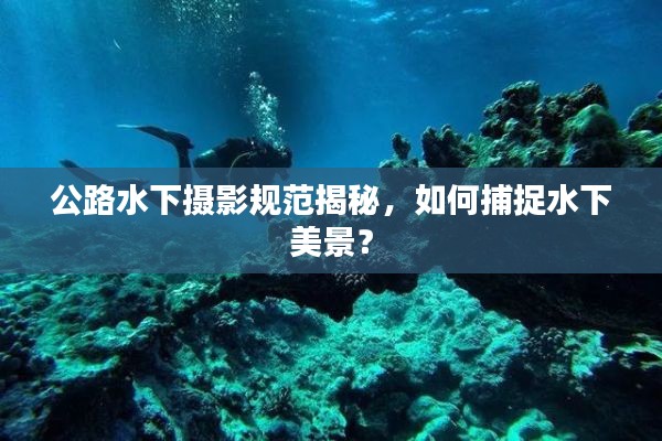 公路水下摄影规范揭秘,如何捕捉水下美景?