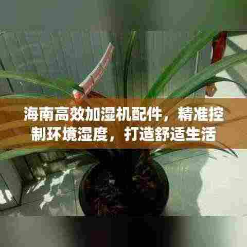 海南高效加湿机配件,精准控制环境湿度,打造舒适生活