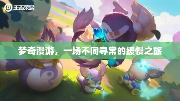 梦奇漫游,一场不同寻常的缓慢之旅