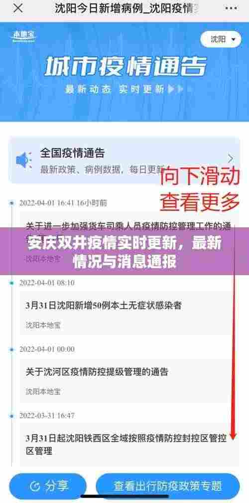 安庆双井疫情实时更新，最新情况与消息通报