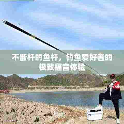 不断杆的鱼杆,钓鱼爱好者的极致福音体验