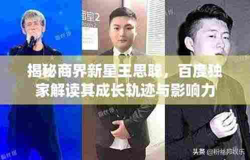 揭秘商界新星王思聪,百度独家解读其成长轨迹与影响力