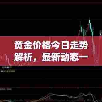 黄金价格今日走势解析，最新动态一览