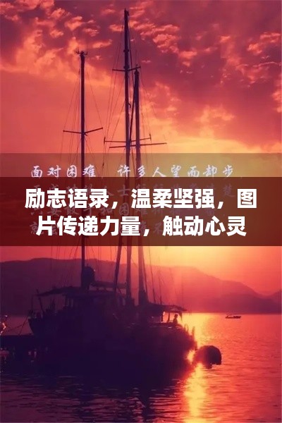 励志语录,温柔坚强,图片传递力量,触动心灵瞬间