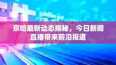 京哈最新动态揭秘，今日新闻直播带来前沿报道