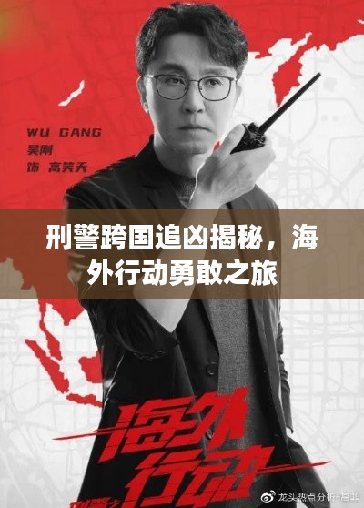 刑警跨国追凶揭秘,海外行动勇敢之旅