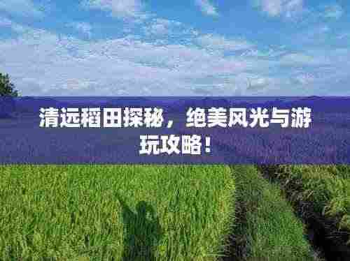 清远稻田探秘,绝美风光与游玩攻略!