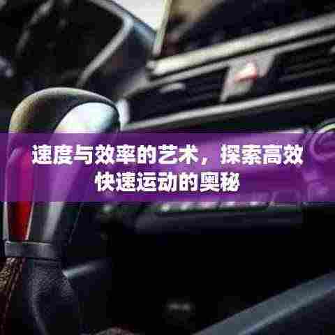 速度与效率的艺术，探索高效快速运动的奥秘