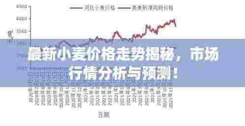 最新小麦价格走势揭秘,市场行情分析与预测!