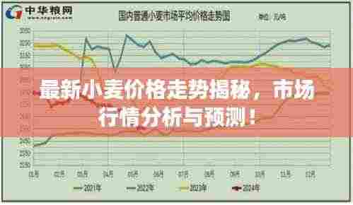 最新小麦价格走势揭秘,市场行情分析与预测!
