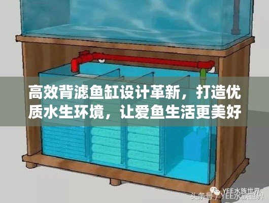高效背滤鱼缸设计革新，打造优质水生环境，让爱鱼生活更美好！