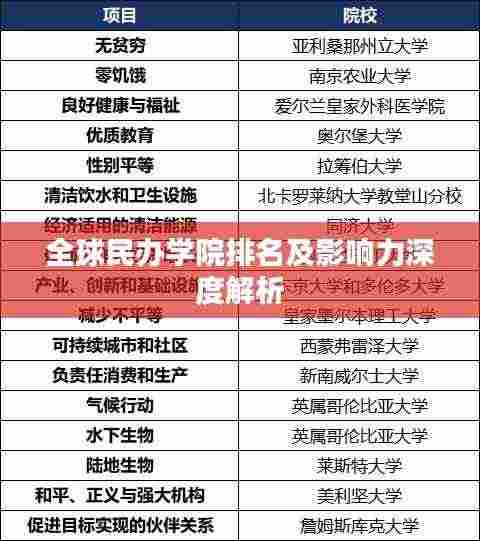 全球民办学院排名及影响力深度解析