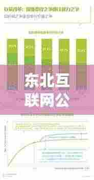 东北互联网公司排名揭秘,行业洞察一网打尽